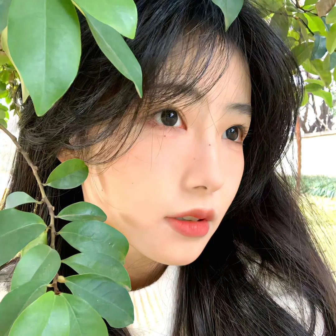 维琴河第一季