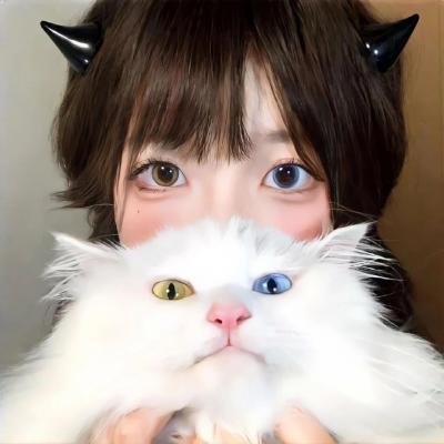 不可遗忘第四季